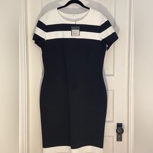 St.John NWT Body Contour Dress